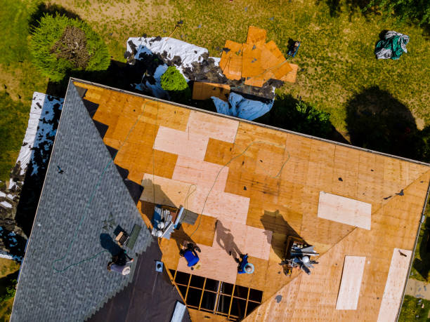 Best Tile Roofing Contractor  in Fort Rucker, AL