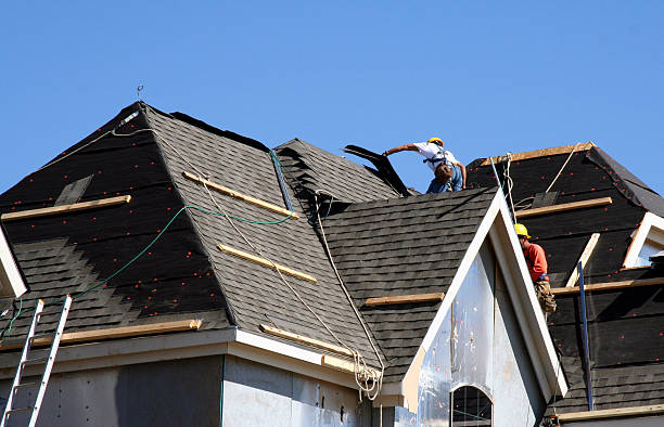 Best Roof Gutter Cleaning  in Fort Rucker, AL