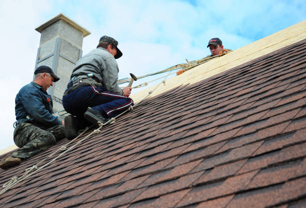 Best Local Roofing Companies  in Fort Rucker, AL